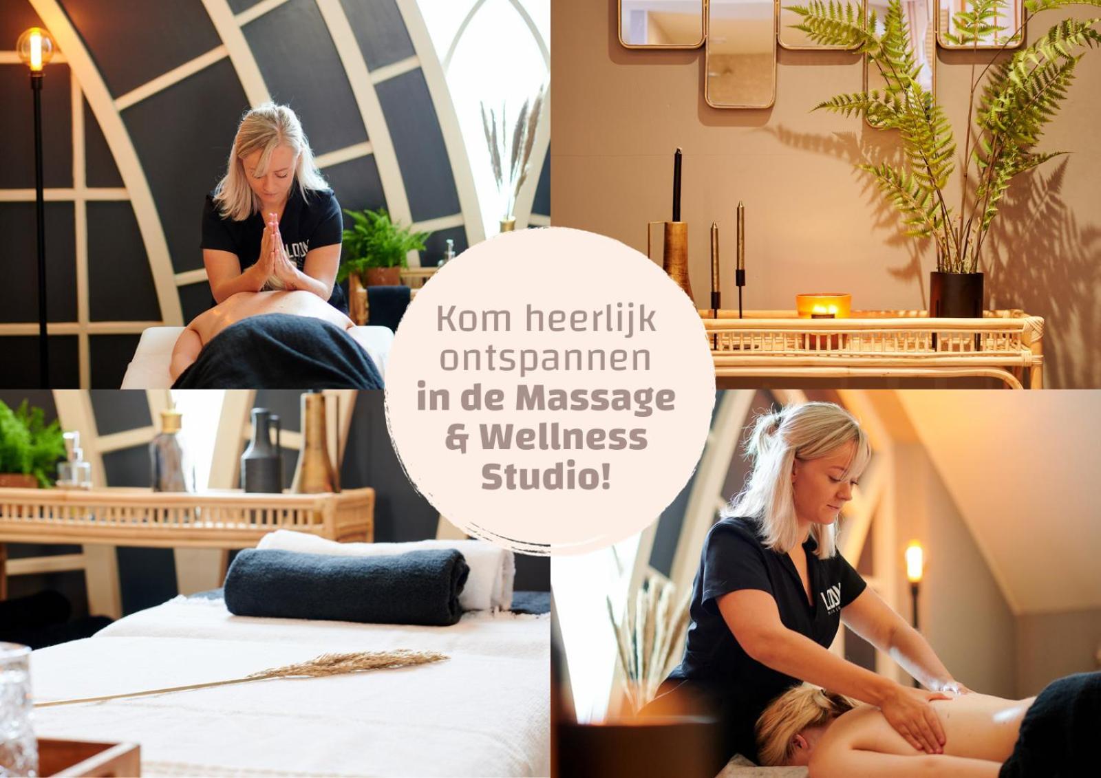 Hébergement de vacances Wellness X De Ijsvogel